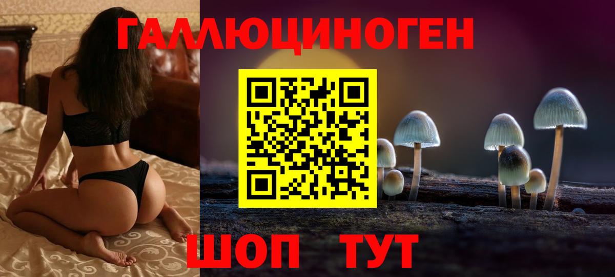 Псилоцибиновые грибы Psilocybine cubensis Павлово